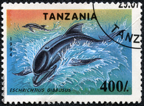 stamps printed in Tanzania shows a Eschrichtius Gibbosus photo