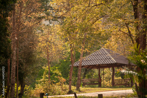 Pavilion in forest