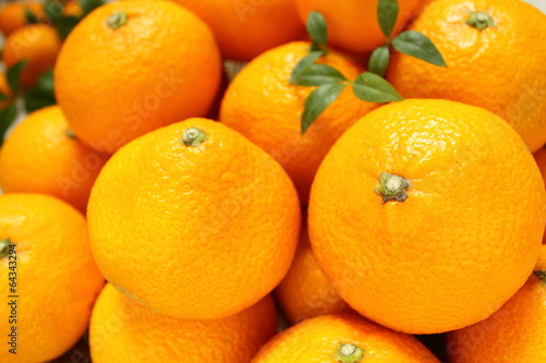 スイートスプリング