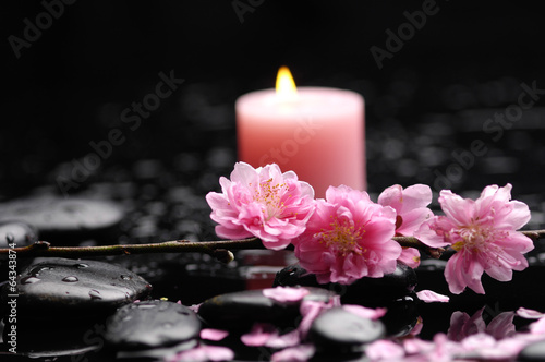 cherry tree with candle and zen stones