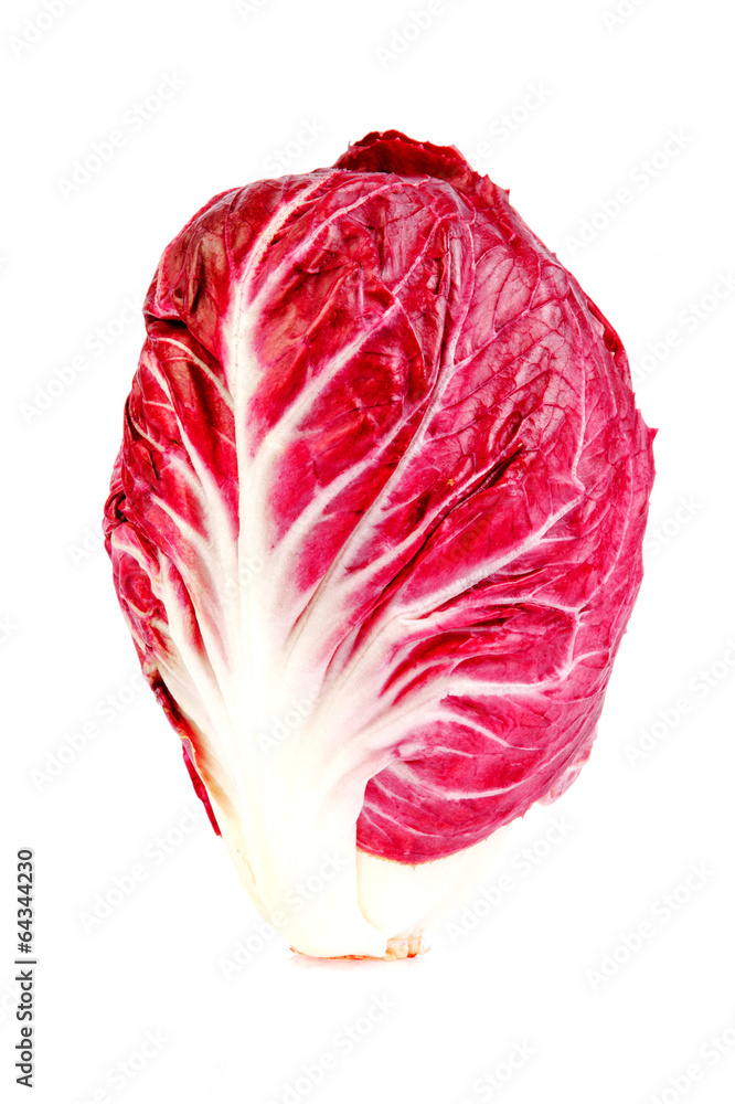 Red cabbages in isolated on white background Red cabbages in isolated on white background