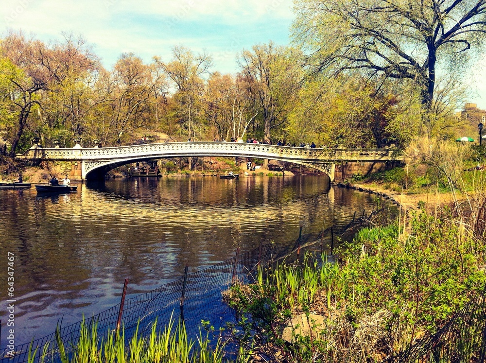 Obraz premium Bow Bridge, Central Park