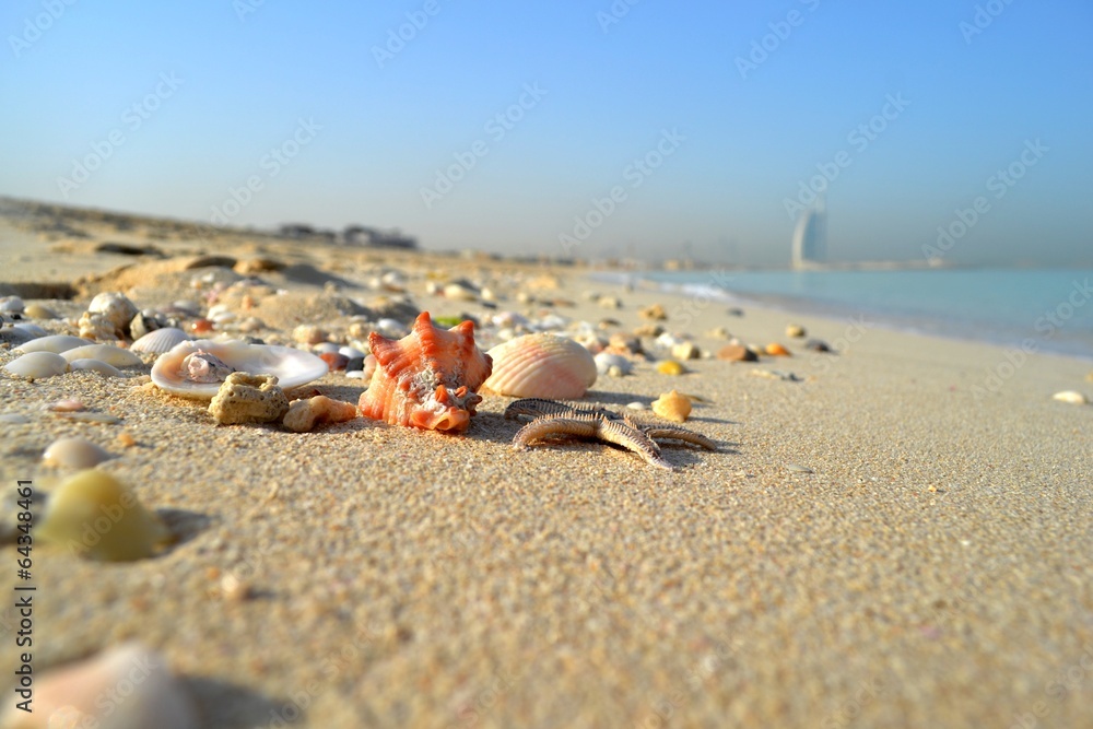 Fototapeta premium Dubai beach