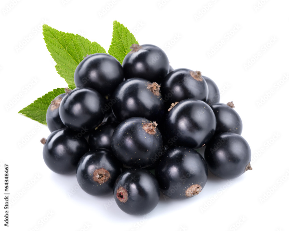 black currants black currants