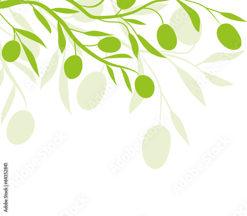 floral,oliven,olivenzweig,olivenöl,frühling,silhouette,grün