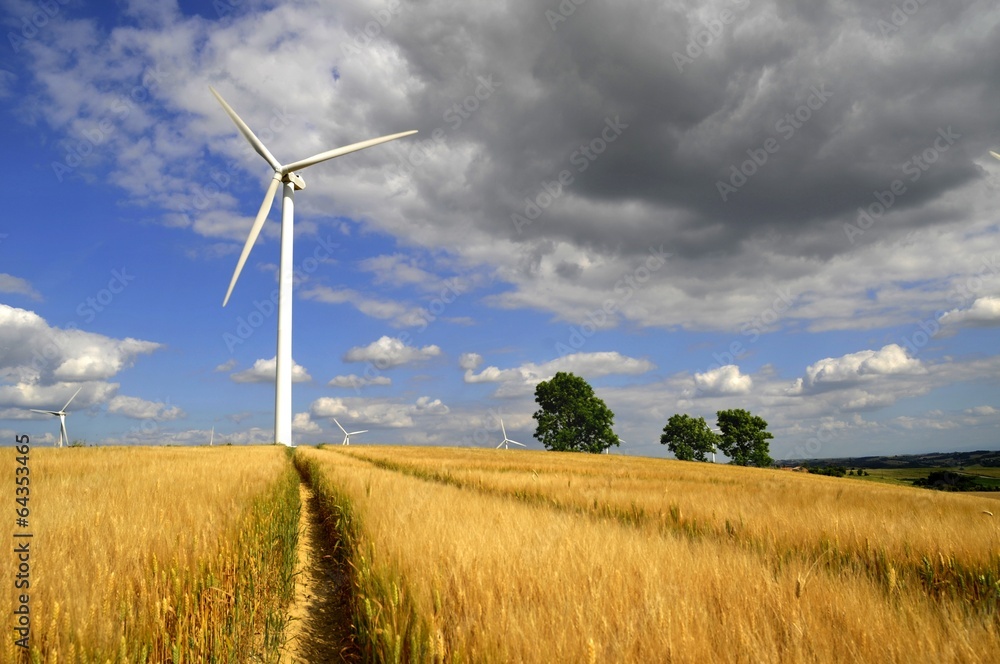 wind turbine wind turbine