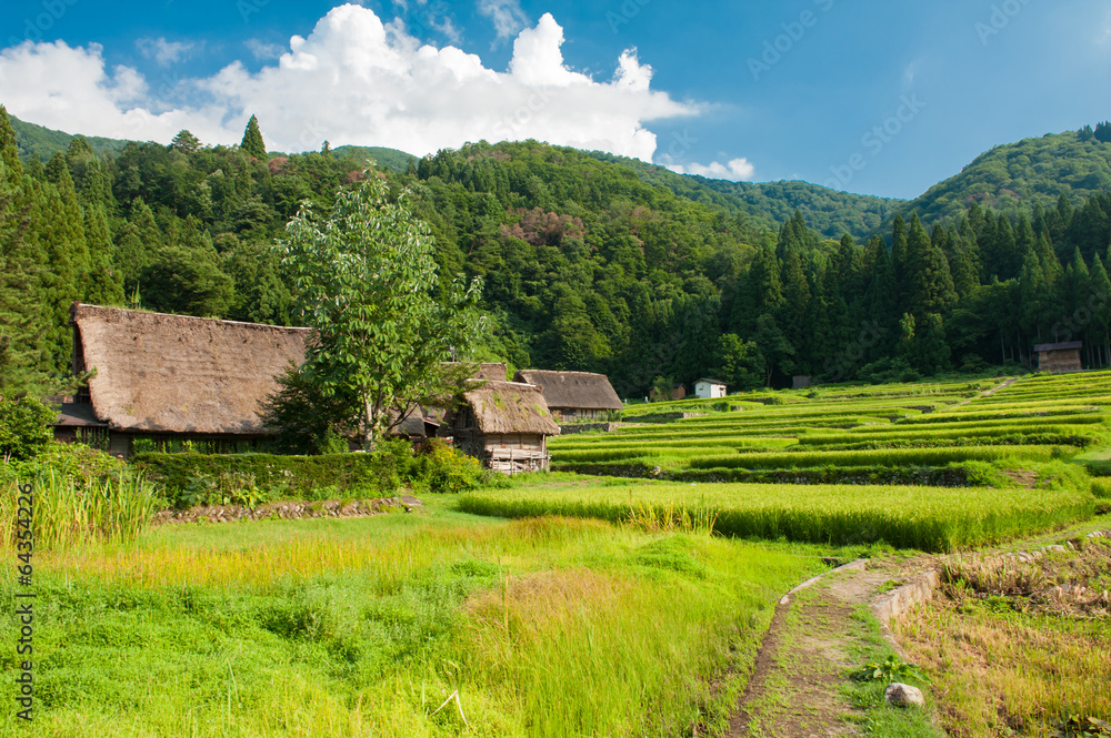 Ogimachi village Ogimachi village