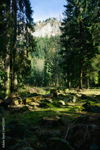 Green landscape with trees and mountains