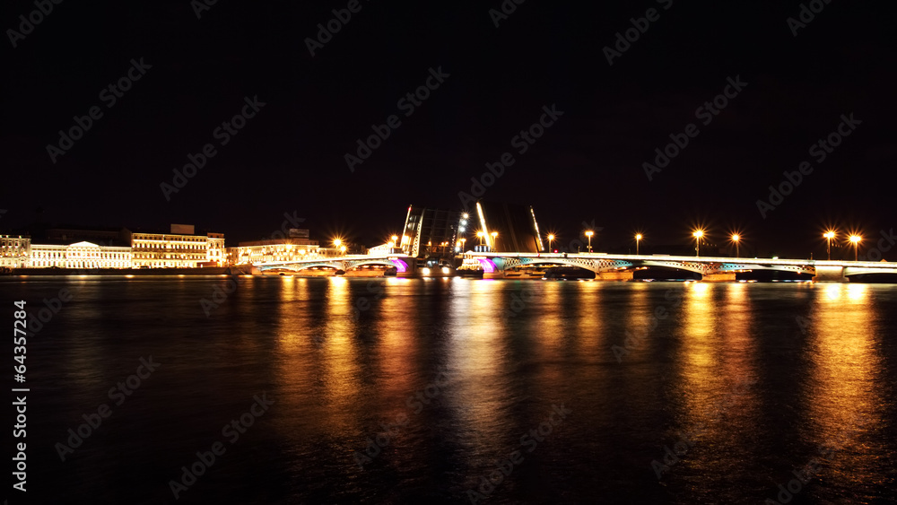 Night view of Bridge. St Petersburg, Russia