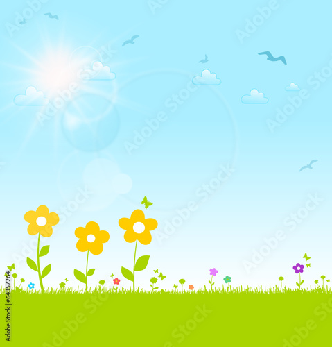 Blumenwiese Sommer  Sonne und blauer Himmel