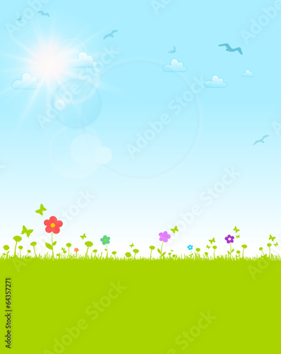 Blumenwiese Sommer, Sonne und blauer Himmel