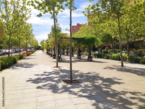 a sidewalk with trees