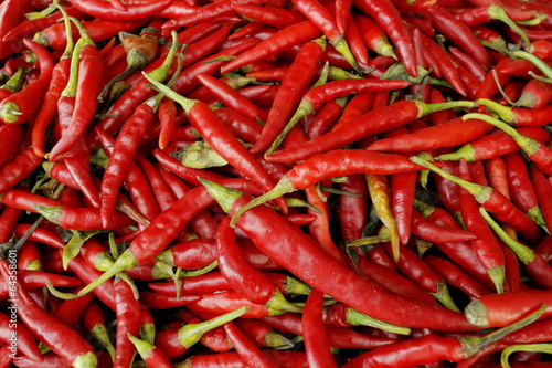 Fotografie 唐辛子　Red pepper