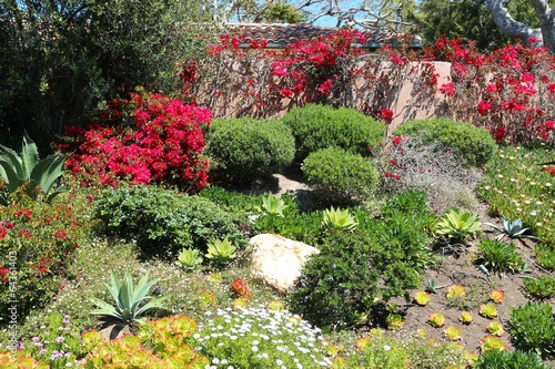 Fototapeta Naklejka Na Ścianę i Meble -  Garden in Malibu, California, USA