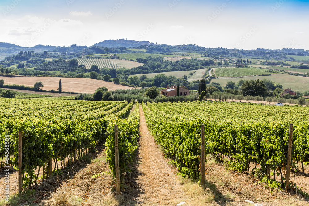 Tuscany view, Italy