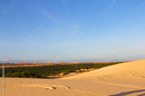 Fototapeta Naklejka Na Ścianę i Meble -  Oasis in desert