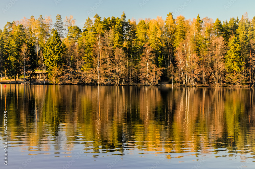 Idyllic forest lake