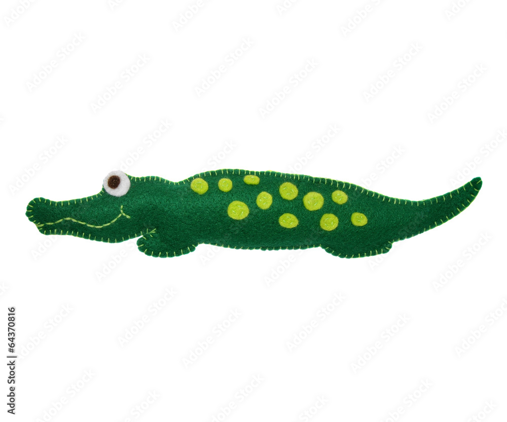 Obraz premium Crocodile