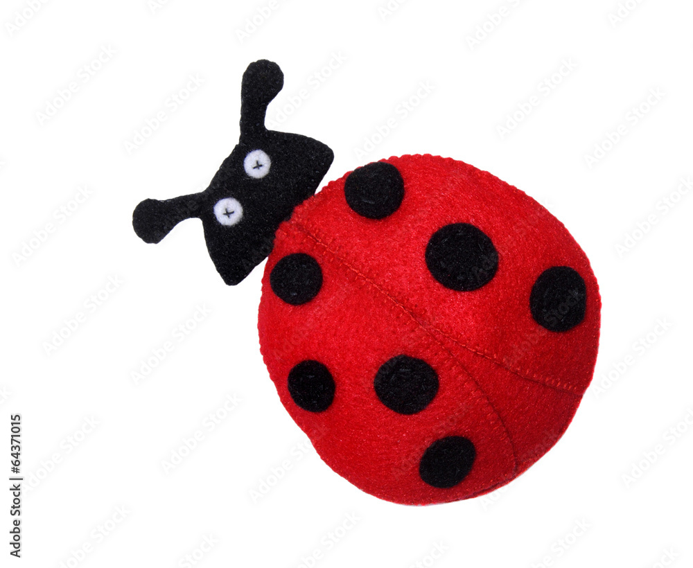 Obraz premium Ladybug