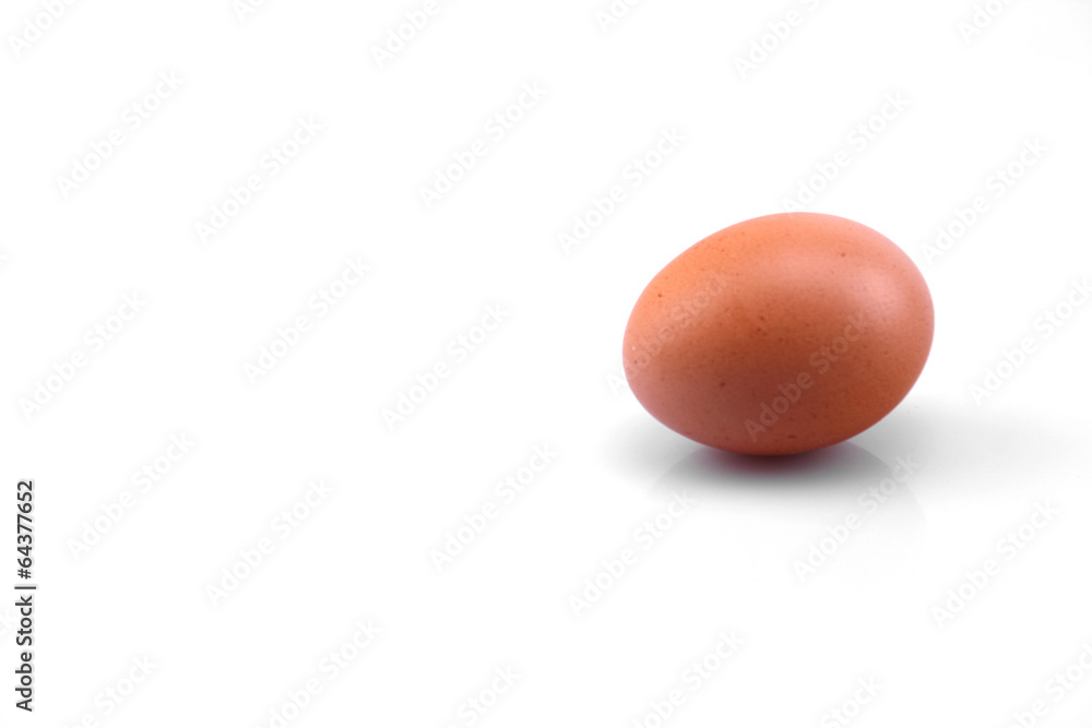 egg on white background egg on white background
