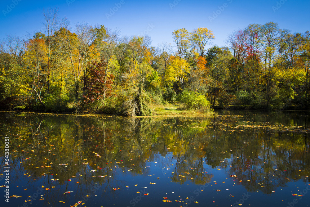 Fall Reflections on the Delaware and Raritan Canal