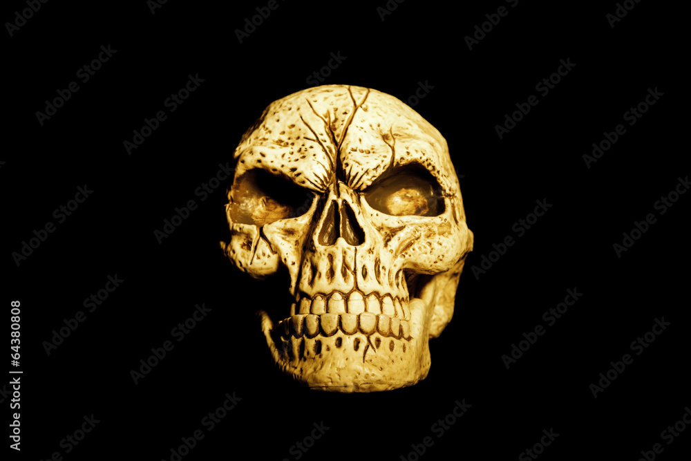 Orange Skull Isolated on Black Orange Skull Isolated on Black