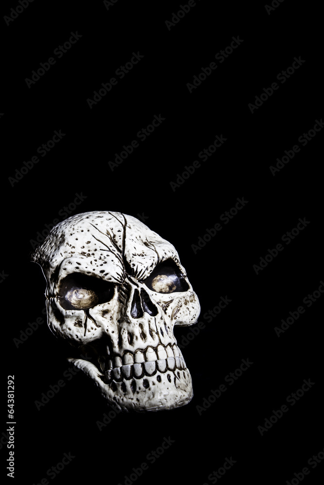 Skull Isolated on Black Skull Isolated on Black