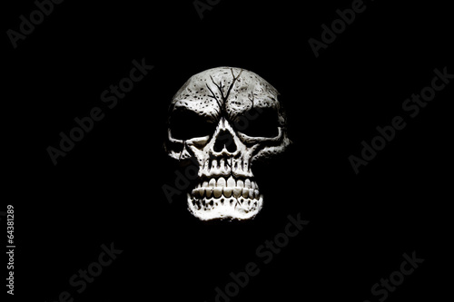 Skull Isolated on Black Background for Halloween