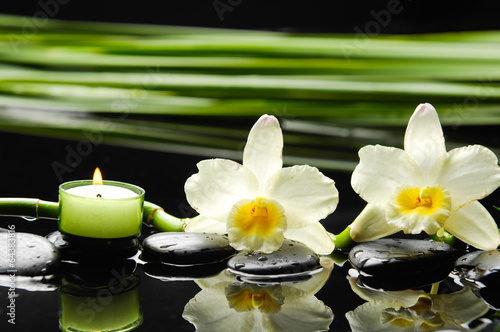 Two orchid with pebbles and green leaf on wet background