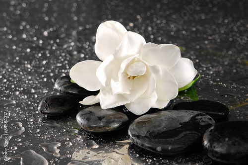 Macro of gardenia with therapy stones