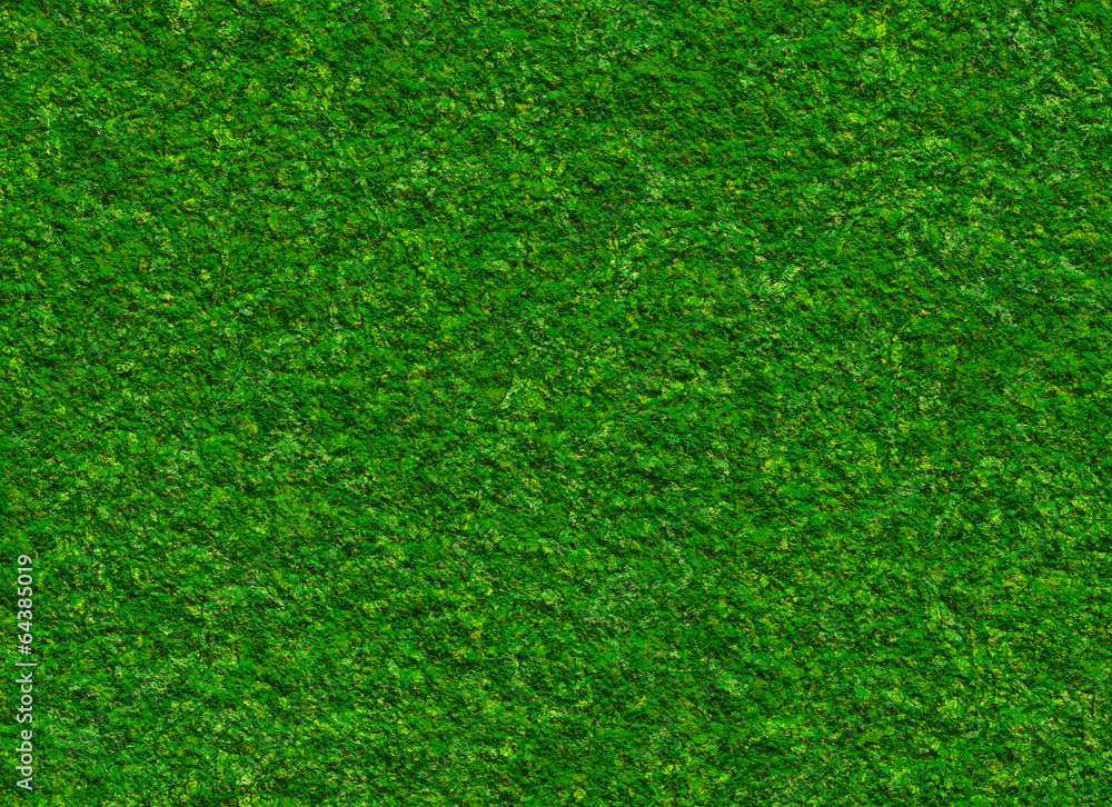 lush green grass texture on a rock backgrounds lush green grass texture on a rock backgrounds