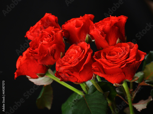 Bouquet of beautiful roses on black background