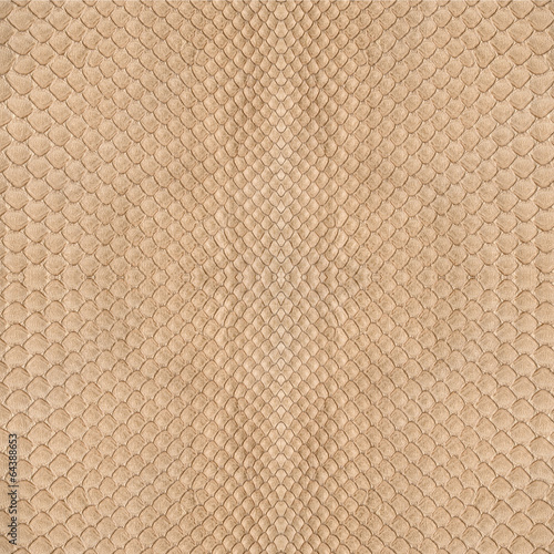 beige snake skin texture