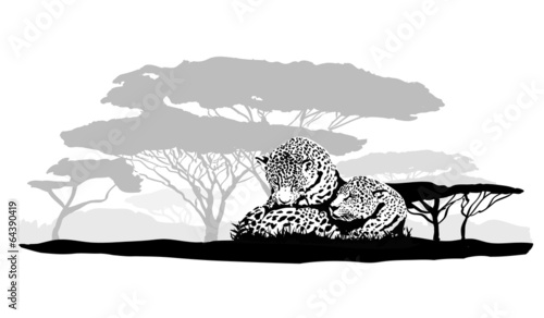 Big cats jaguar, cheetah, leopard, vector illustration isolated