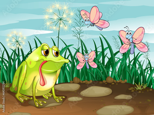 A frog and the three butterflies