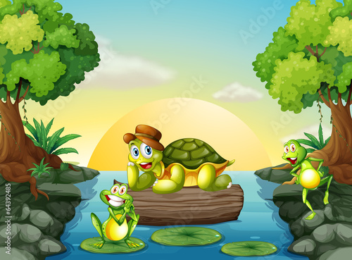 A turtle and the two frogs at the river