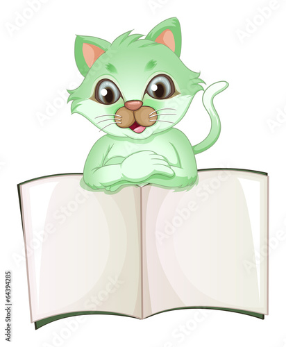A cat holding an empty book