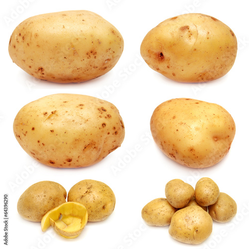 Collection of potato