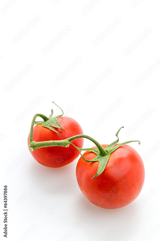 Tomato isolated on white Tomato isolated on white