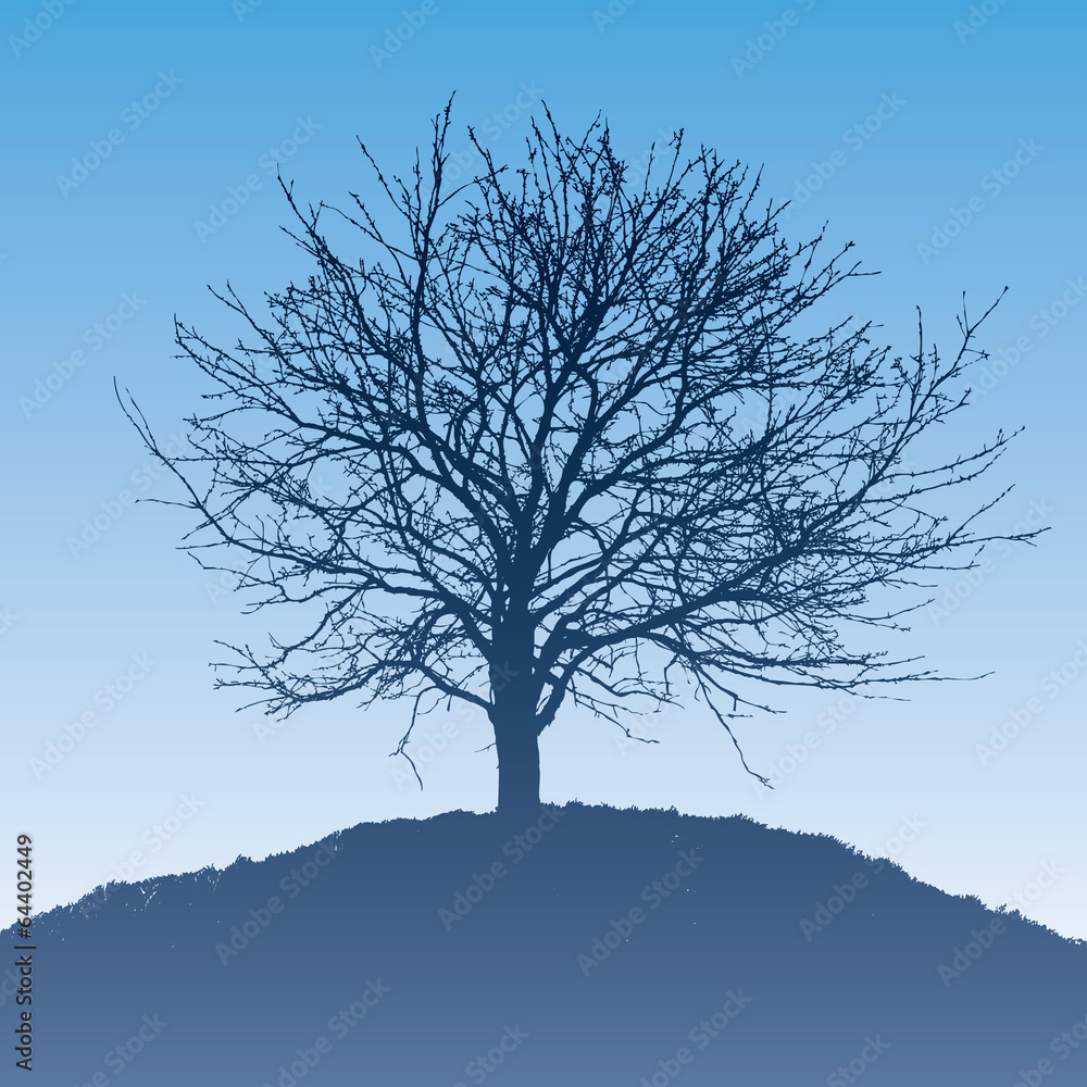 silhouette of the tree silhouette of the tree