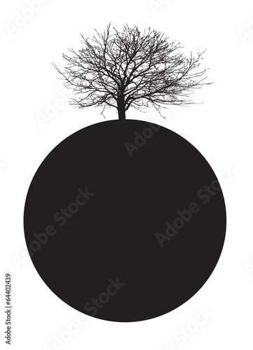 black tree on earth
