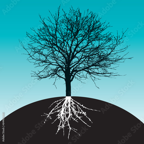 tree with roots on earth