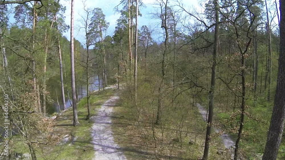 Up over wood with river. Aerial view Up over wood with river. Aerial view
