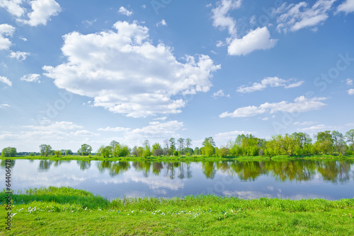 Sunny spring landscape by The Narew River. photo