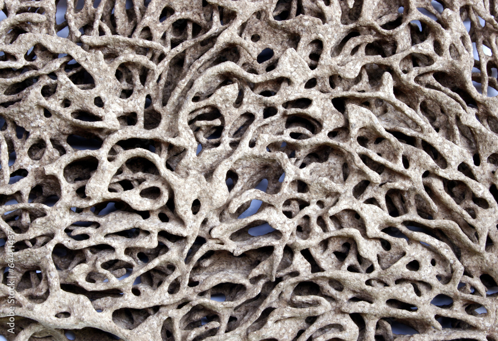 deserted termite nest deserted termite nest