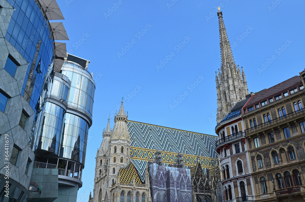 Fototapeta premium wien stephansdom