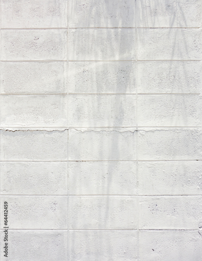 Fototapeta premium Grunge,Crack White Brick block wall texture,background