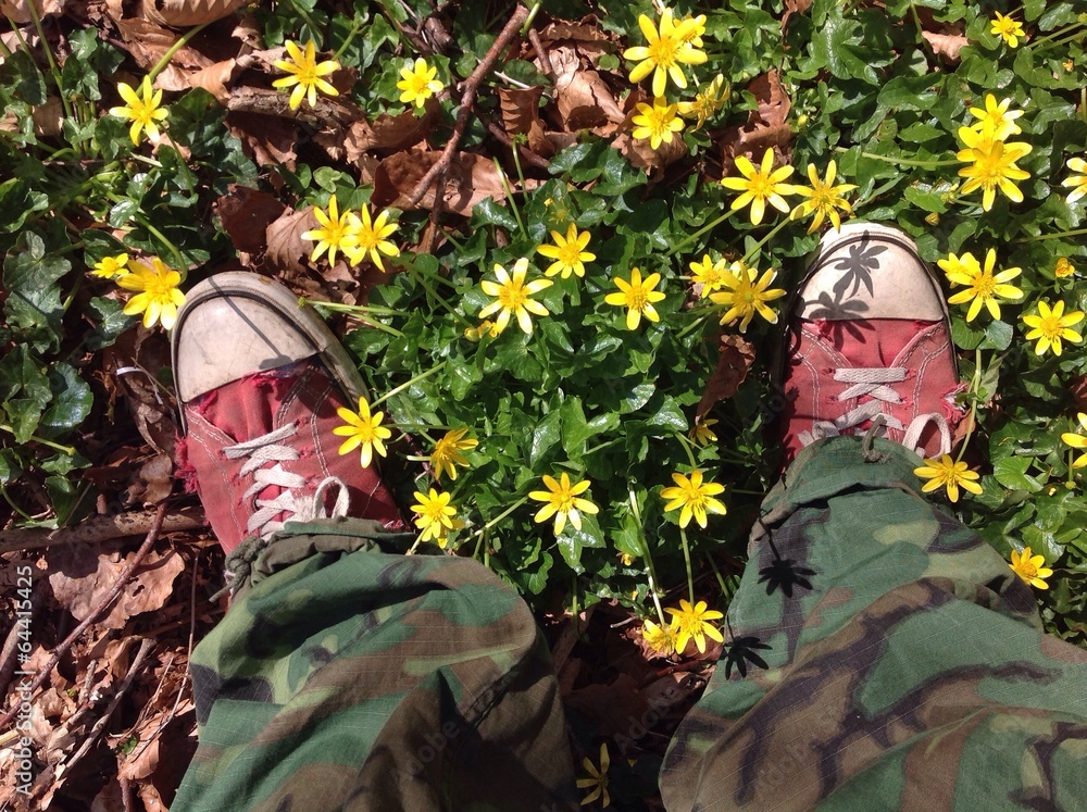 grungy sneakers on forest floor