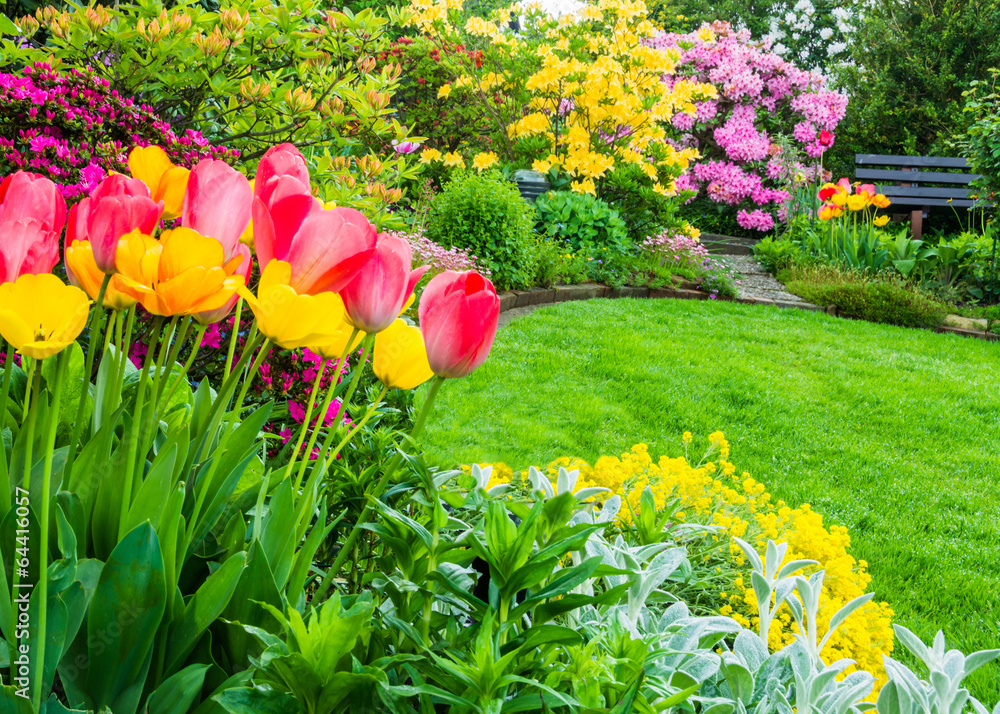 Tulpen im Frühlingsgarten - obrazy, fototapety, plakaty 