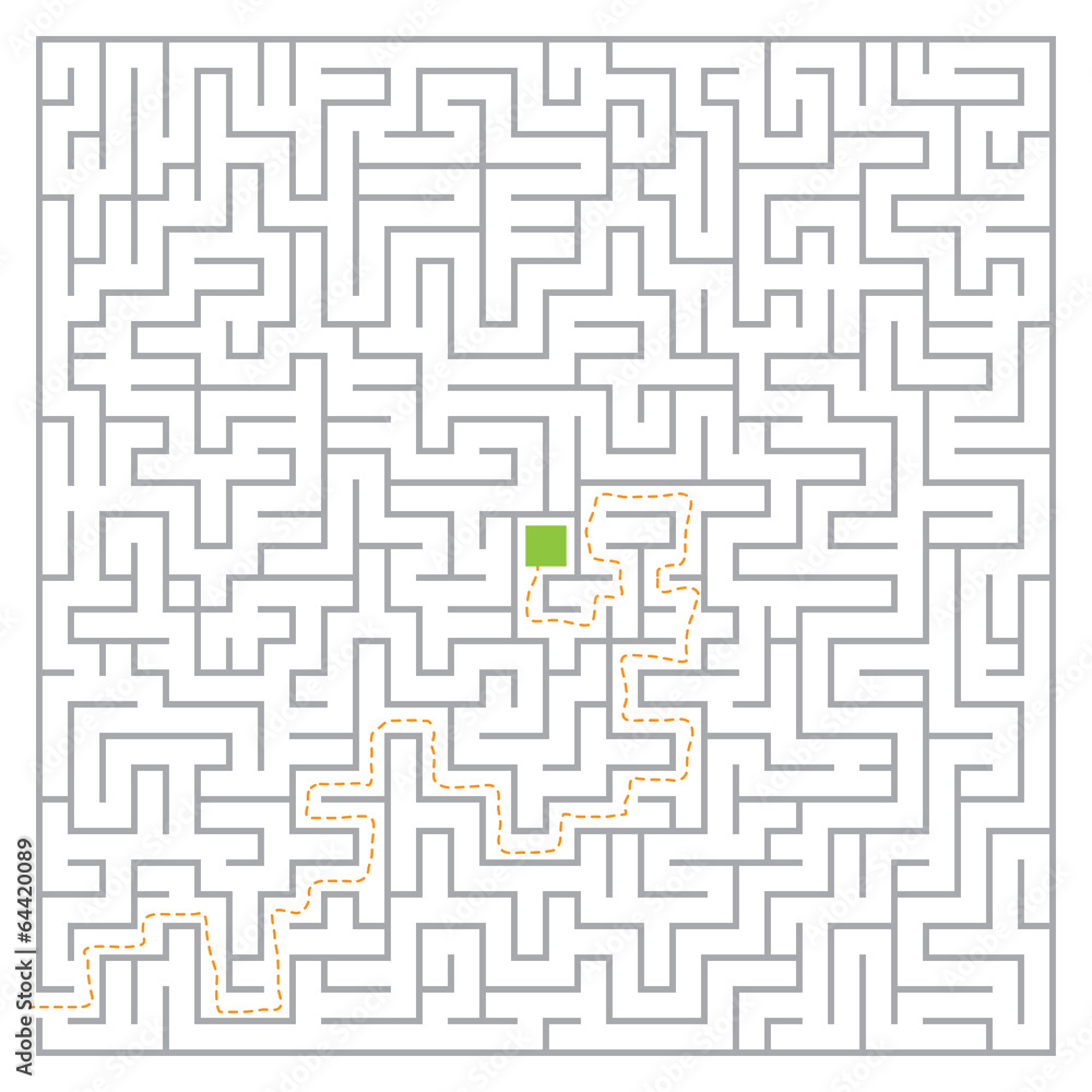 Vector maze Vector maze